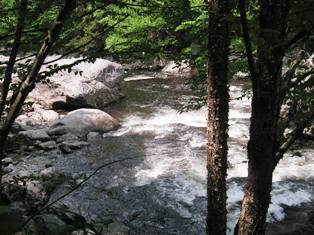 West River from rail trail